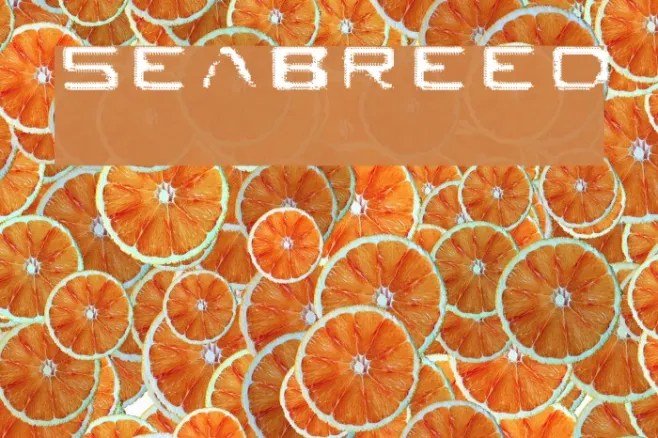 Seabreed Example 2