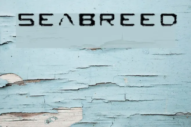 Seabreed Example 3