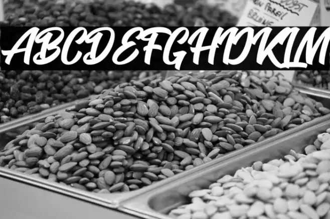 SeactClean-Regular Font examples