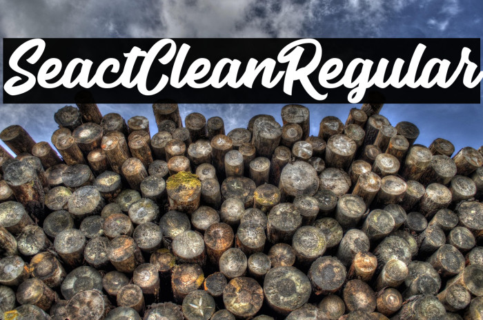 SeactClean-Regular Example 1