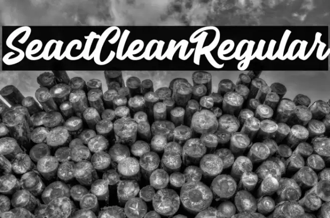 SeactClean-Regular Font examples