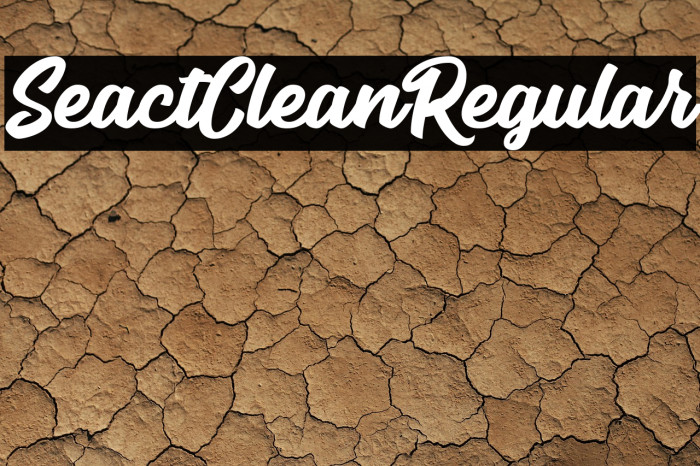 SeactClean-Regular Example 2