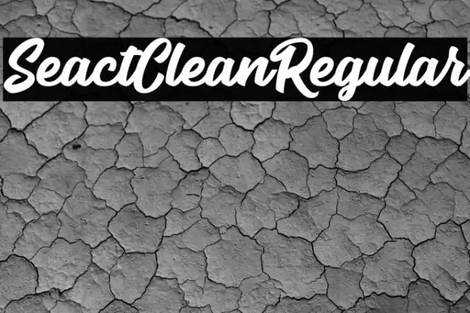SeactClean-Regular Font examples