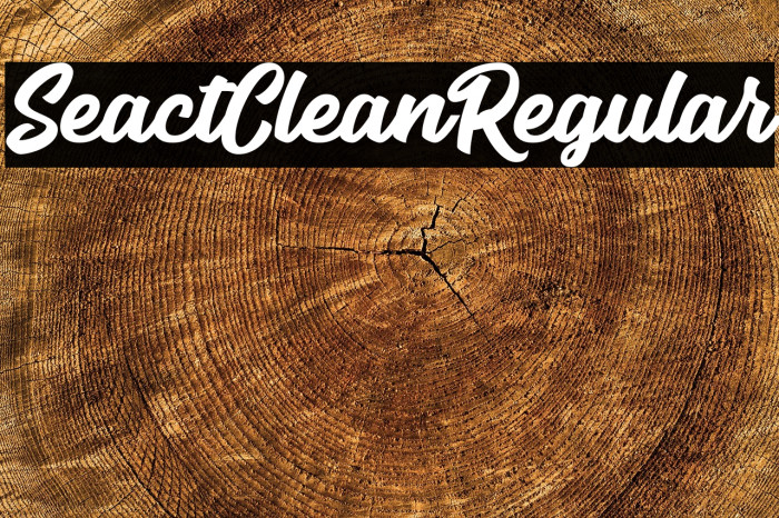 SeactClean-Regular Example 3