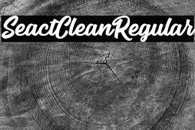 SeactClean-Regular Font examples