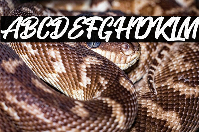 SeactRough-Regular Example 3