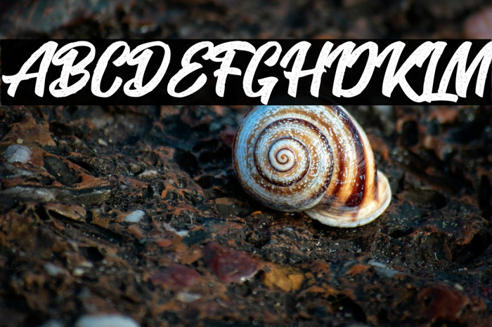 SeactRough-Regular Example 1