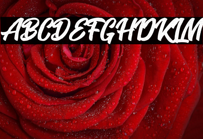 SeactRough-Regular Example 2