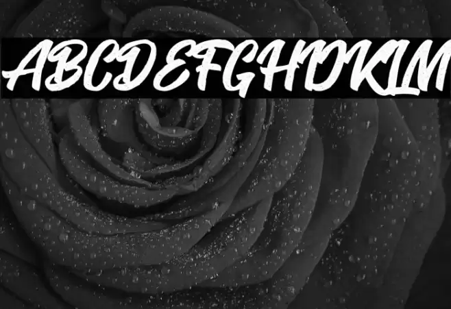 SeactRough-Regular Font examples