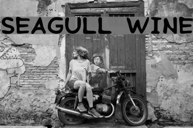 Seagull Wine Font examples