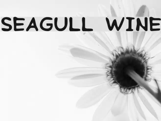 Seagull Wine Font examples