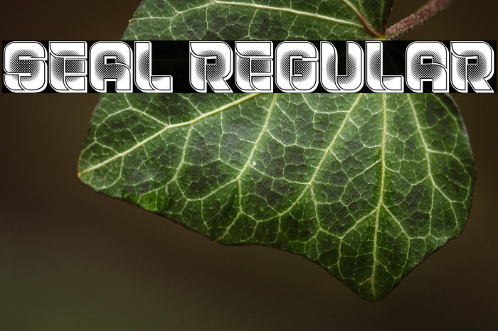 Seal Regular Example 1