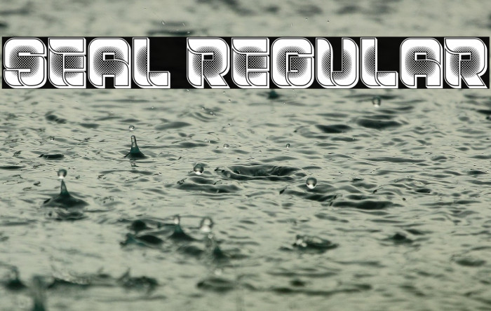 Seal Regular Example 2