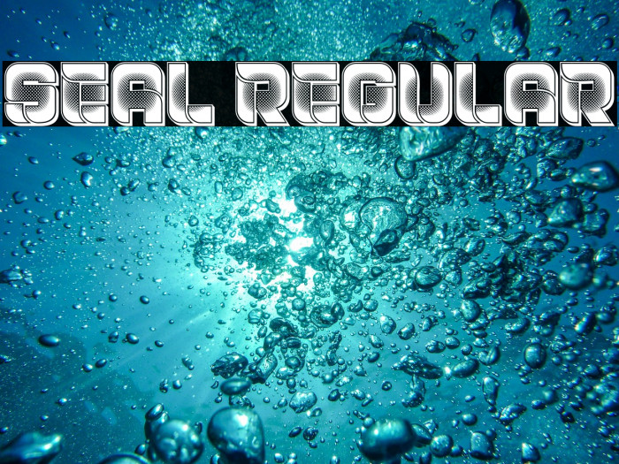 Seal Regular Example 3