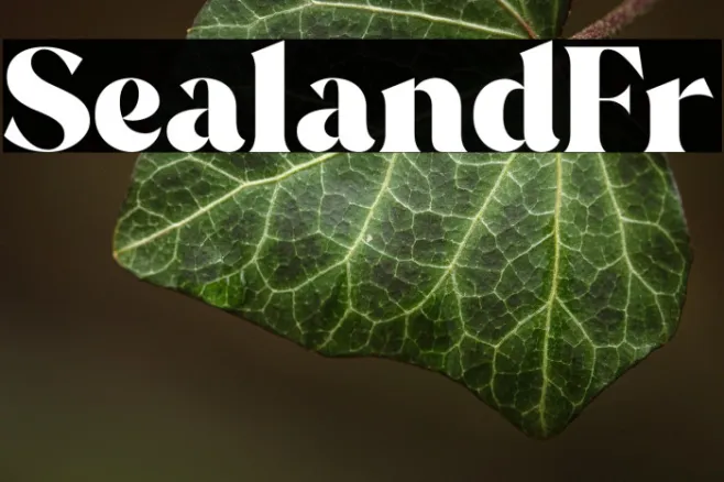 SealandFr Example 3
