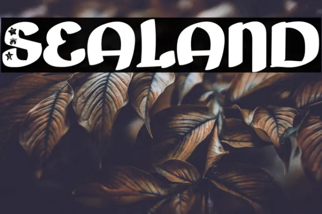 Sealand Example 1
