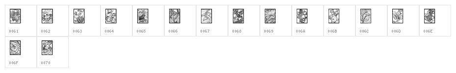 Sealife Character Map