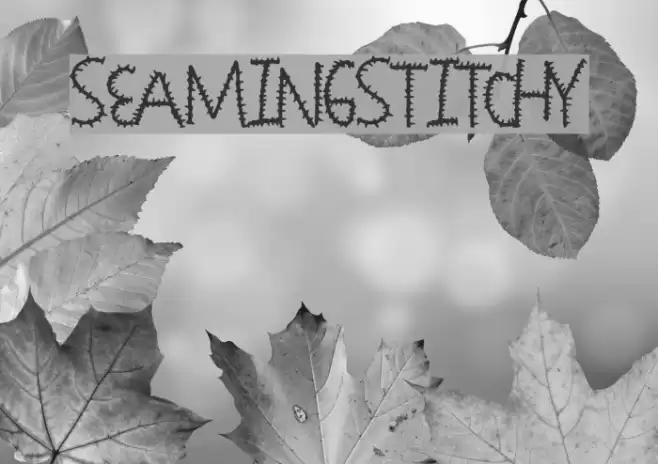 SeamingStitchy फ़ॉन्ट examples