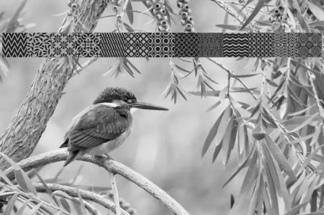 Seamless Patterns Various Schriftart examples