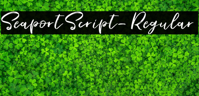 SeaportScript-Regular Example 1