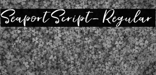 SeaportScript-Regular Font examples
