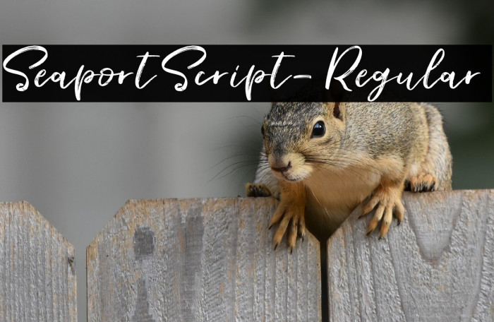 SeaportScript-Regular Example 2