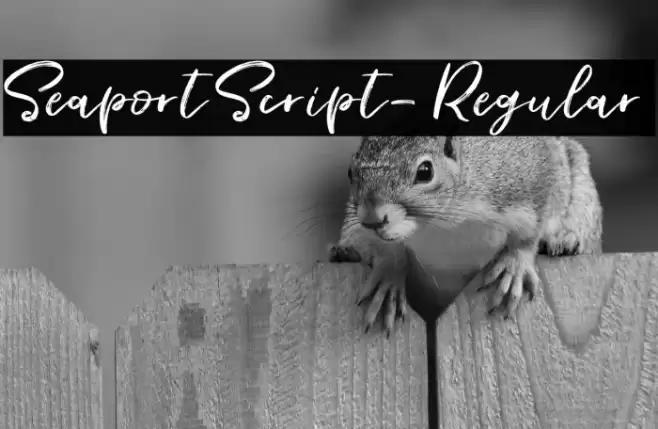 SeaportScript-Regular Font examples