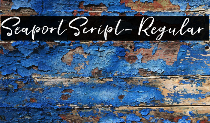 SeaportScript-Regular Example 3