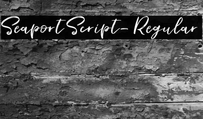 SeaportScript-Regular Font examples