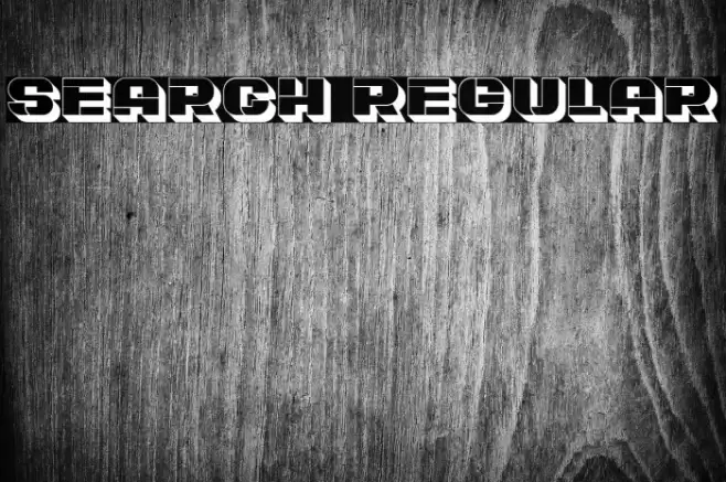 Search Regular Font examples