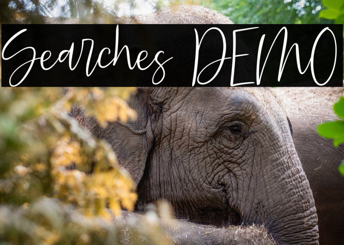 Searches DEMO Example 2