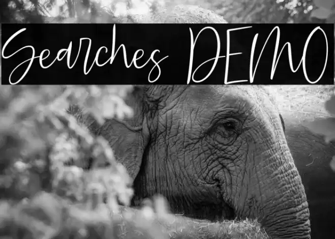 Searches DEMO Font examples