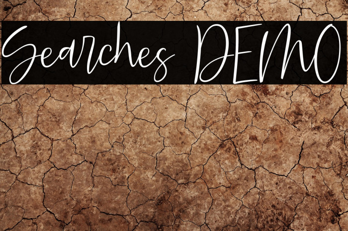 Searches DEMO Example 3