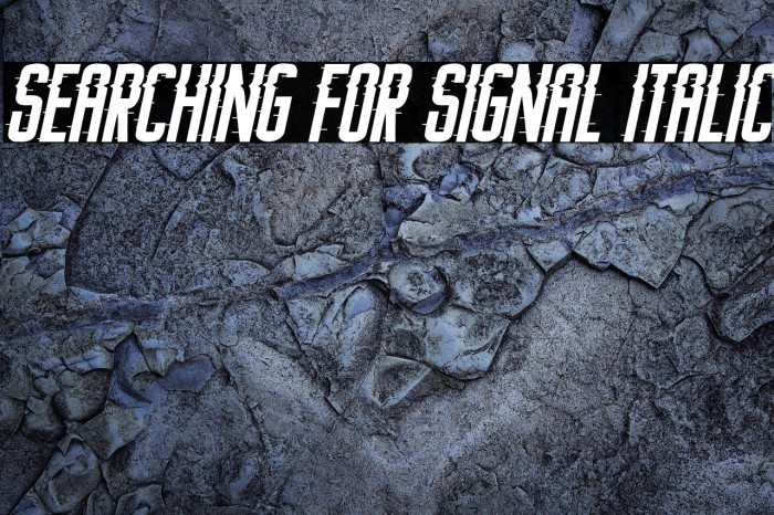 Searching For Signal Italic Font examples