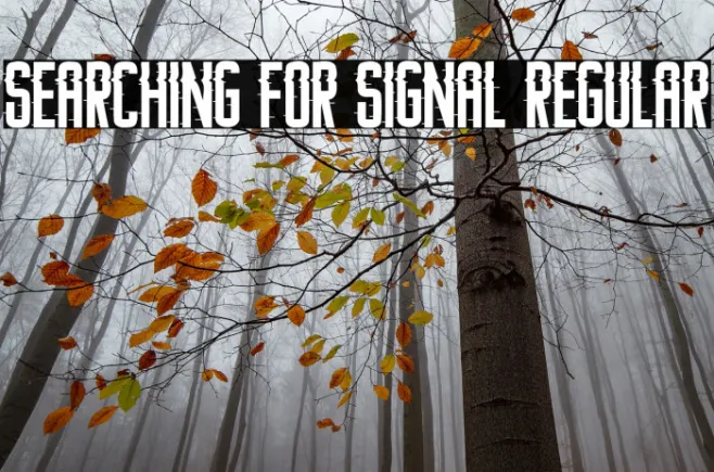 Searching For Signal Regular Example 1
