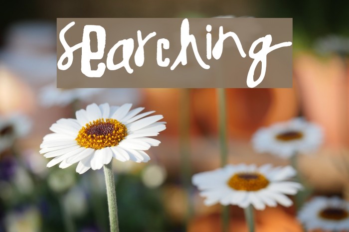 Searching फ़ॉन्ट examples