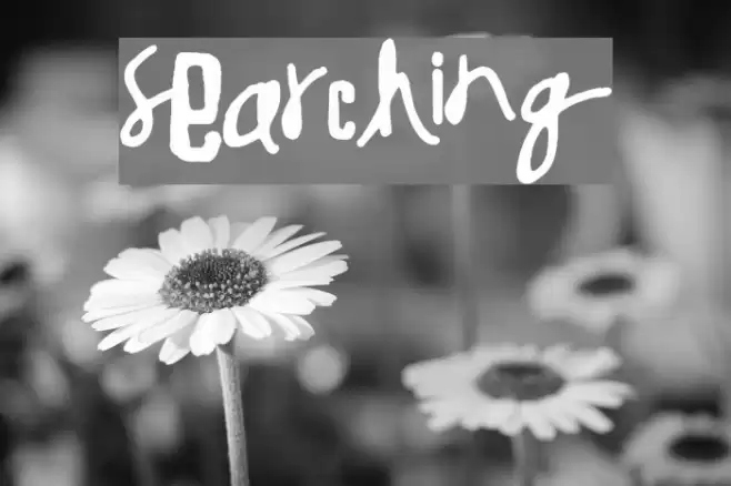 Searching Font examples