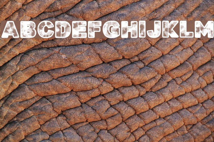 Search'n Destroy Example 1