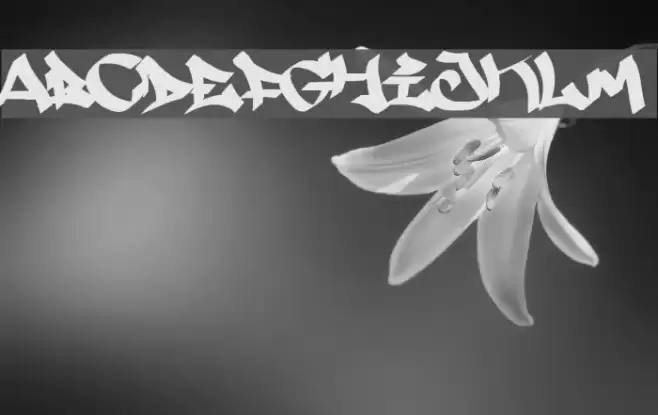 Searfont Font examples