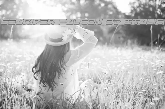 Searider Falcon 3D Italic Font examples