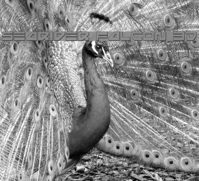 Searider Falcon 3D フォント examples