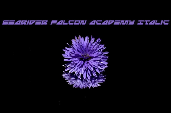 Searider Falcon Academy Italic Font examples
