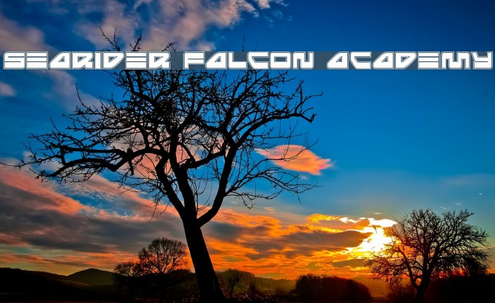 Searider Falcon Academy Example 1