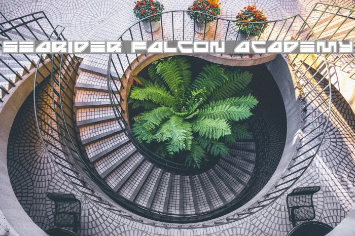 Searider Falcon Academy Example 2