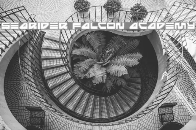 Searider Falcon Academy Font examples