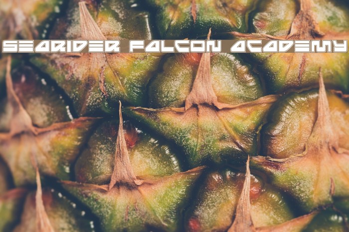 Searider Falcon Academy Example 3