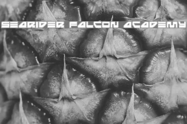 Searider Falcon Academy Font examples