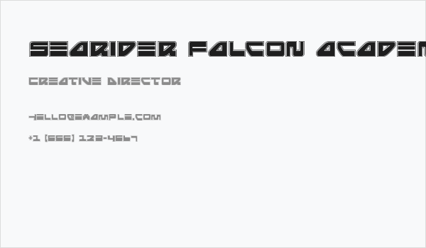 Searider Falcon Academy Business Card