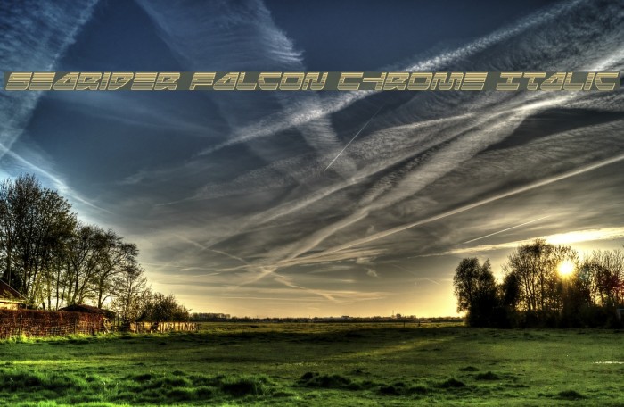 Searider Falcon Chrome Italic Example 1