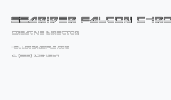 Searider Falcon Chrome Business Card